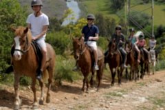 Laren Safari Park - Orman Turu