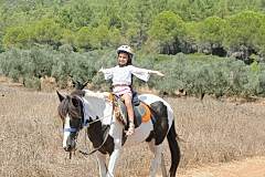 Laren Safari Park - Orman Turu