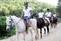 Laren Safari Park - Orman Turu