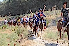 Laren Safari Park - Orman Turu