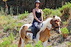 Laren Safari Park - Orman Turu