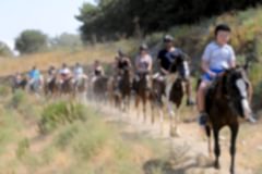 Laren Safari Park - Orman Turu