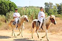 Laren Safari Park - Orman Turu