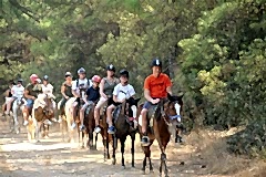 Laren Safari Park - Orman Turu