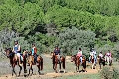 Laren Safari Park - Orman Turu
