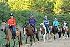 Laren Safari Park - Orman Turu