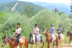 Laren Safari Park - Orman Turu