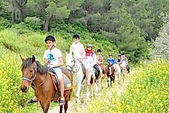 Laren Safari Park - Orman Turu