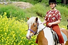 Laren Safari Park - Orman Turu